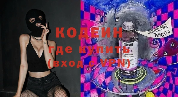 дурь Алексин