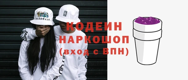 индика Сатка