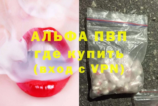 индика Сатка