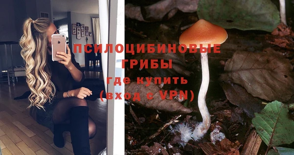 дурь Алексин
