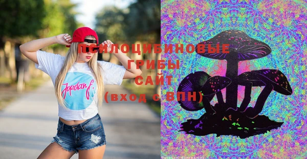 дмт Саяногорск