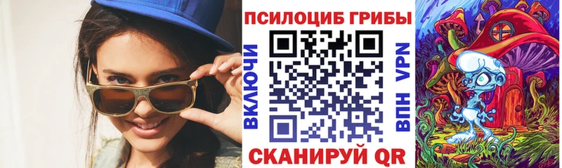 наркота  Бирск  Псилоцибиновые грибы Psilocybine cubensis 