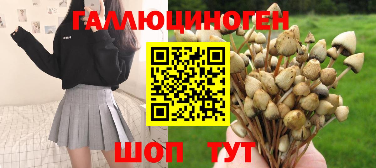 Галлюциногенные грибы Magic Shrooms Бирск