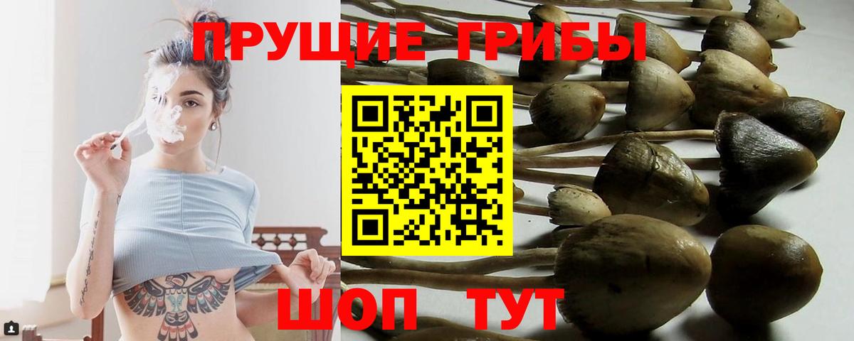 Галлюциногенные грибы GOLDEN TEACHER  Галлюциногенные грибы ЛСД  Вход с VPN  наркота  Бирск 